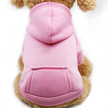 Load image into Gallery viewer, Warm Pet Clothes Autumn Winter Clothing for Dog Outfit Clothes for Cats mascotas 8Y45