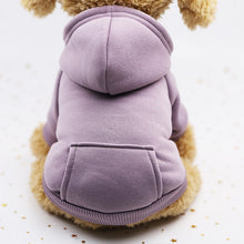 Load image into Gallery viewer, Warm Pet Clothes Autumn Winter Clothing for Dog Outfit Clothes for Cats mascotas 8Y45